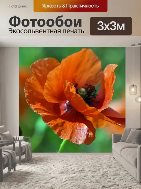 Фотообои Мак