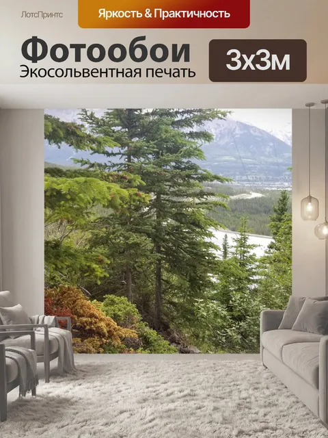 Фотообои Деревья в горном лесу