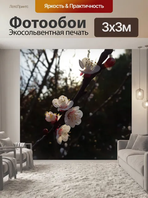 Фотообои Цветение вишни