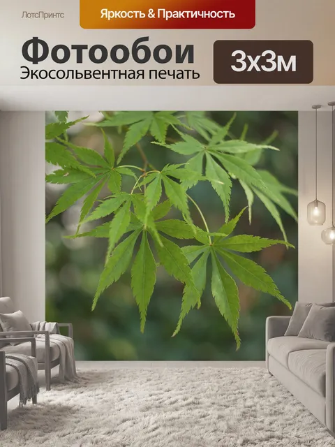 Фотообои Листья