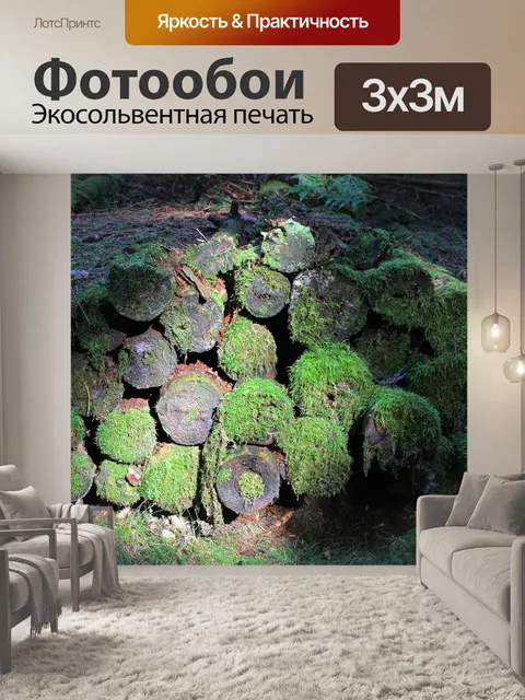 Фотообои Лес