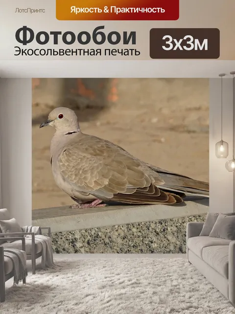 Фотообои Птица