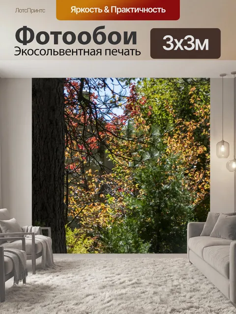 Фотообои Осенний лес