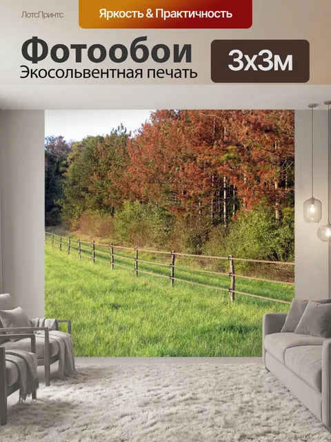 Фотообои Поля