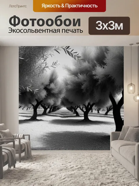 Фотообои пейзаж с оливками чернобелый