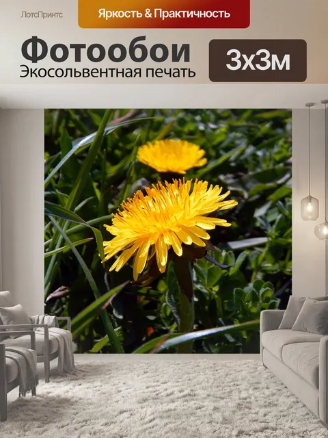 Фотообои Весна
