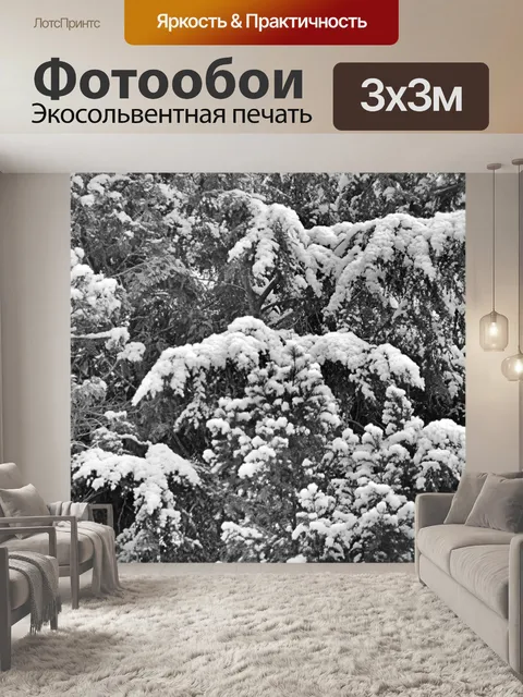 Фотообои Фон