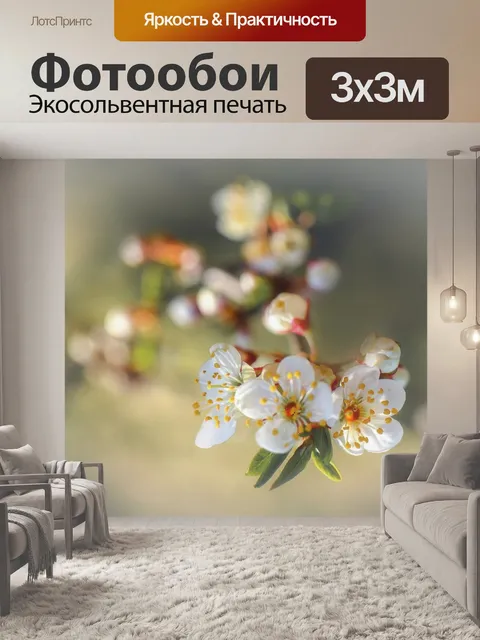 Фотообои Цветы