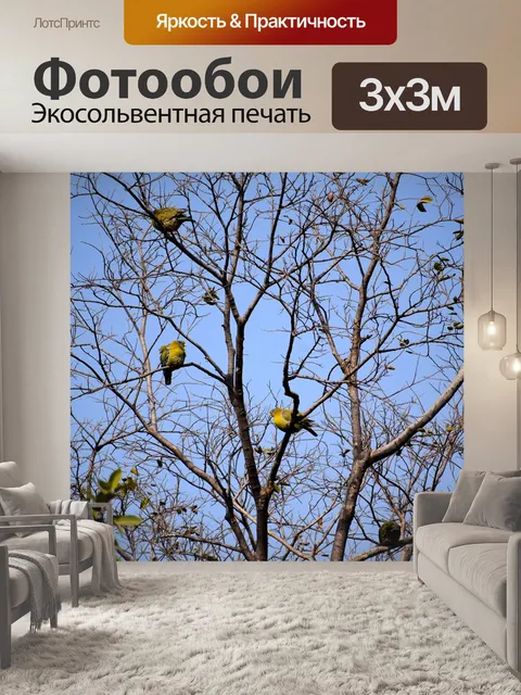 Фотообои Дерево