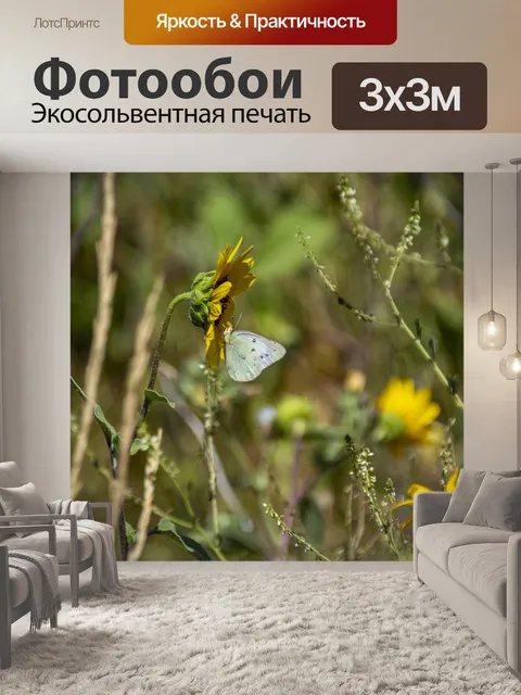 Фотообои Бабочка на подсолнухе