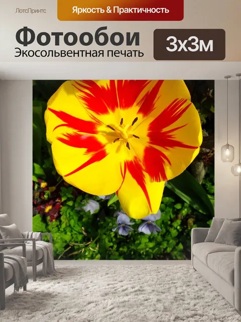 Фотообои Весна
