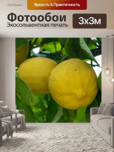 Фотообои Природа Крита