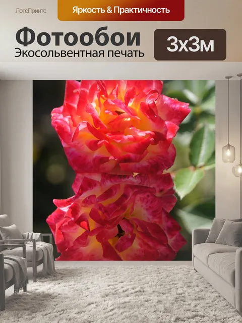 Фотообои Цветок