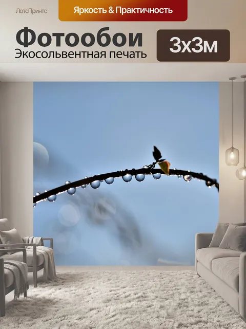 Фотообои Капля воды