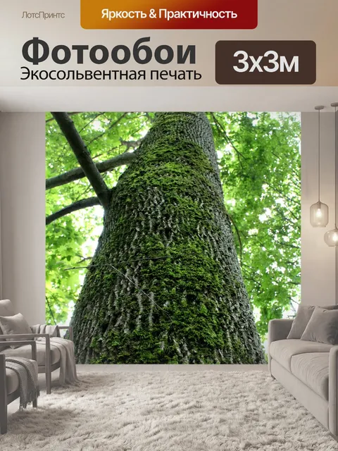Фотообои Дерево