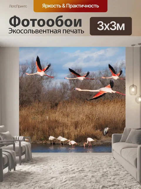 Фотообои Птица