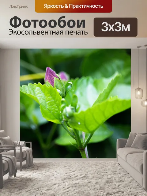 Фотообои Цветы