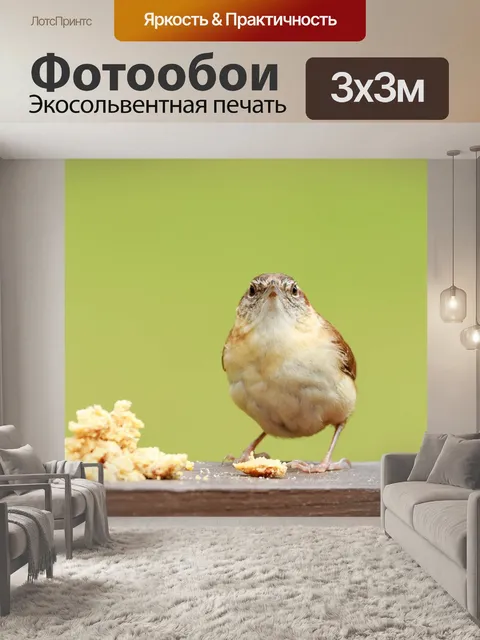 Фотообои Каролина рен