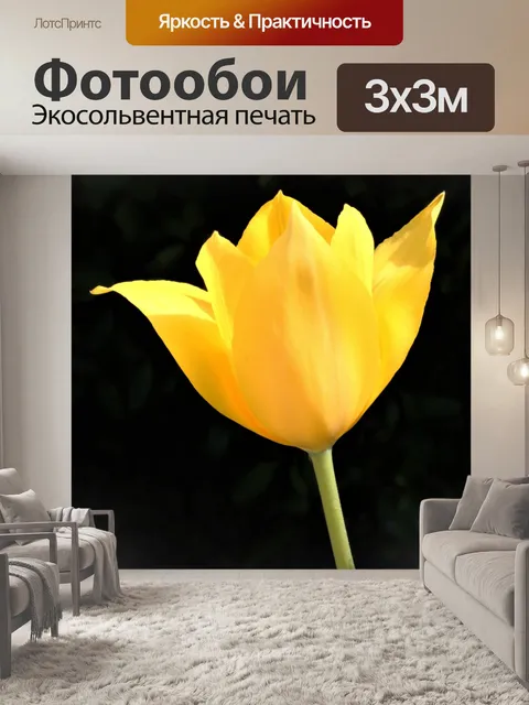 Фотообои Один желтый тюльпан на черном