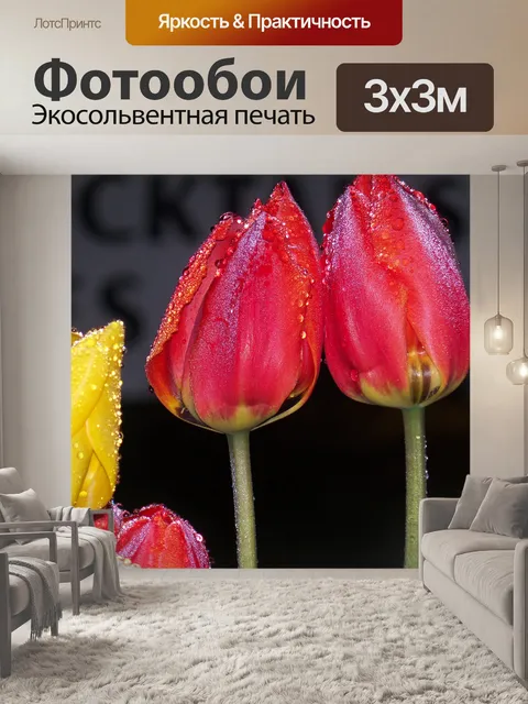 Фотообои Тюльпаны