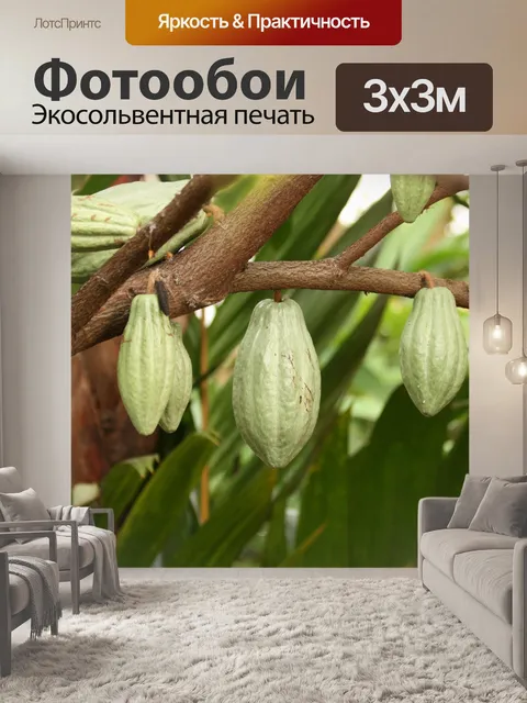 Фотообои Шоколадное дерево