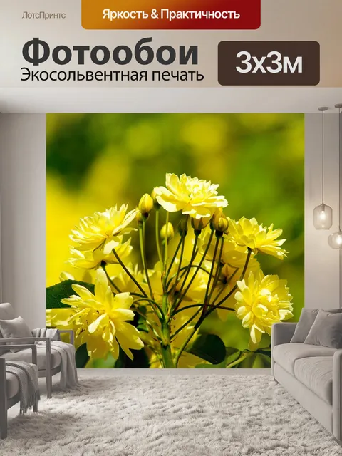 Фотообои Цветы