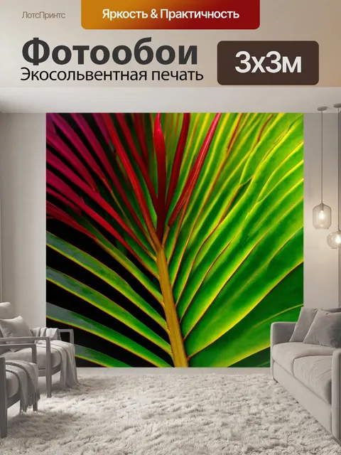 Фотообои градиент плавного перехода между экзотическими растениями, от зелёного до бордового