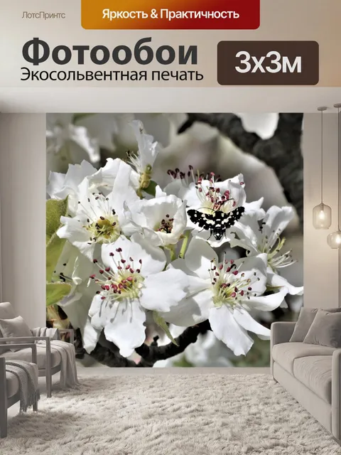 Фотообои Цветущая груша и мотылек