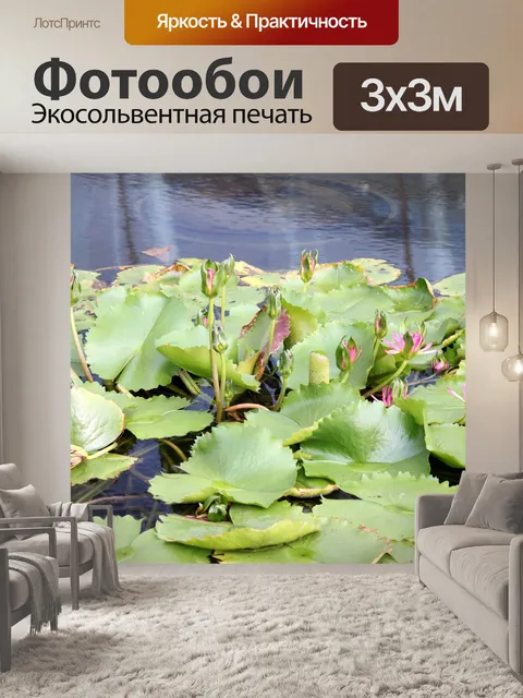 Фотообои Лотоса листья и цветочные