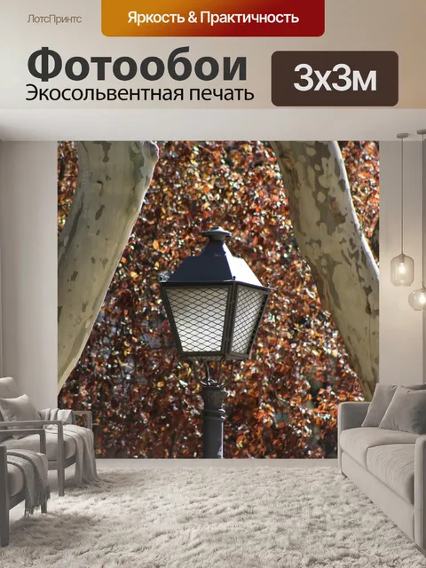 Фотообои Уличный фонарь