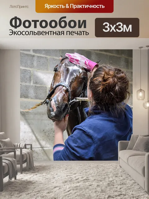 Фотообои Лошадь
