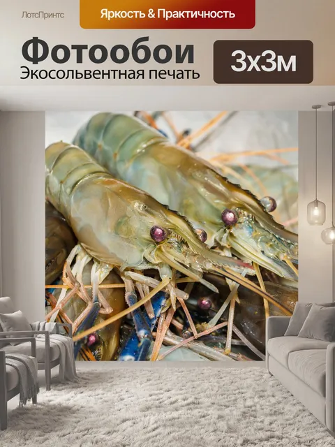 Фотообои Свежие приготовленные креветки фон мореп