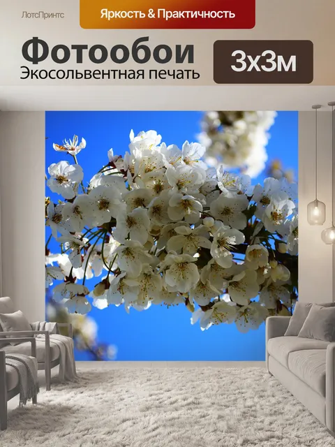 Фотообои Цветение вишни