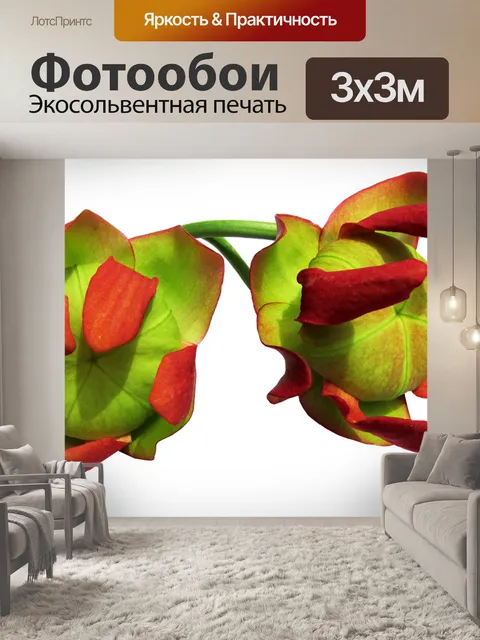 Фотообои Цветы
