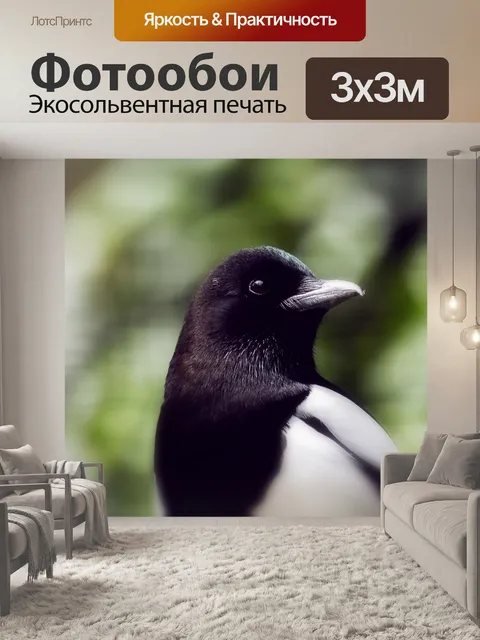 Фотообои Сорока
