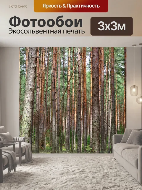 Фотообои Лес
