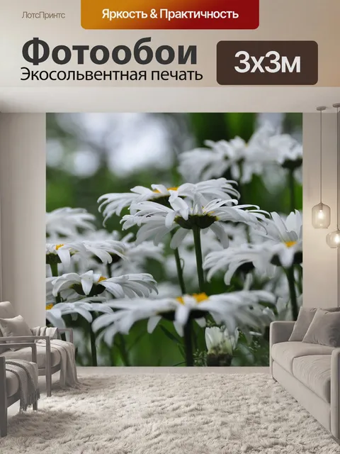 Фотообои Маргаритка