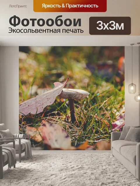 Фотообои Гриб
