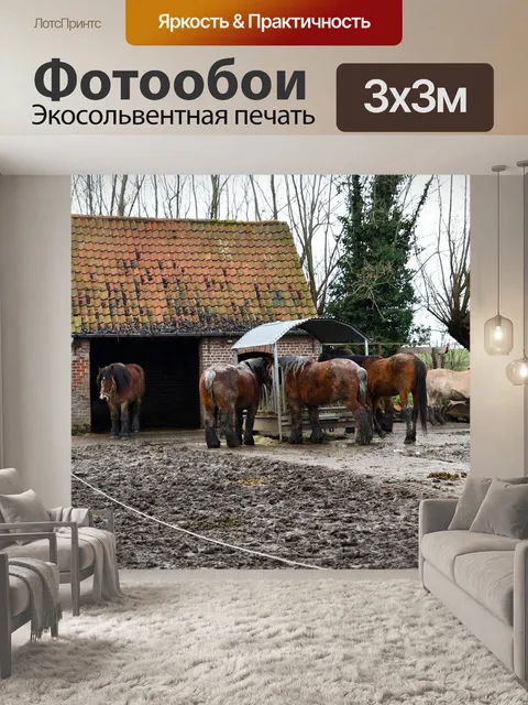 Фотообои Лошади