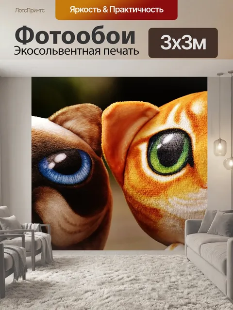 Фотообои Кошки