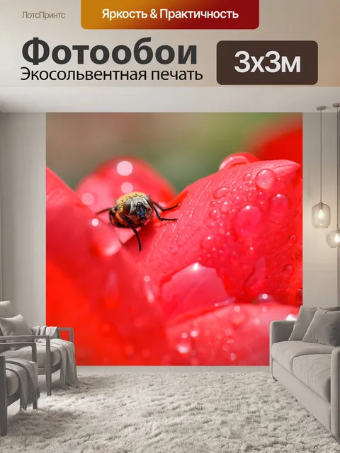Фотообои Летать