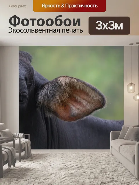 Фотообои Пейзаж