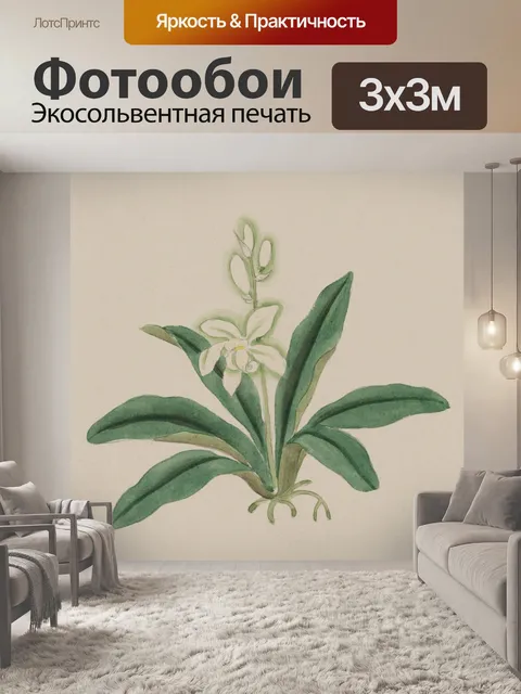 Фотообои Цветы