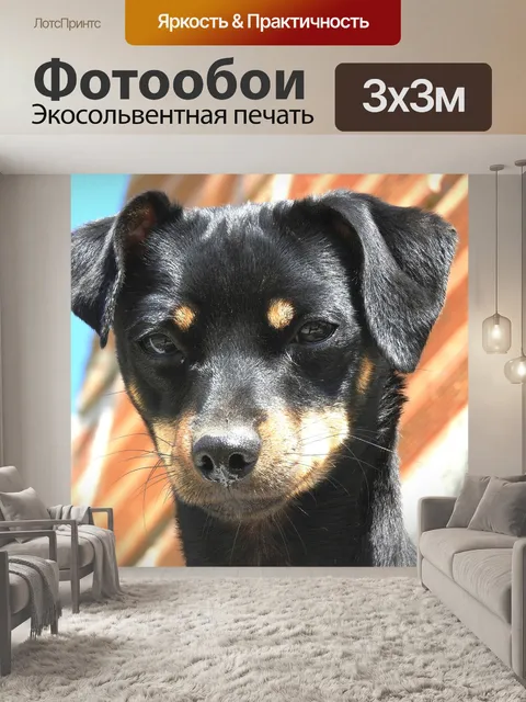 Фотообои Природа