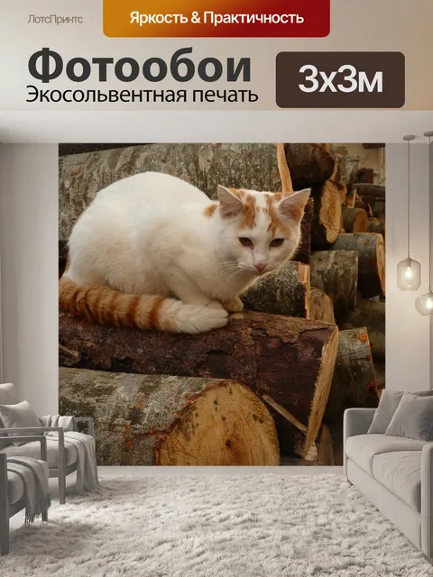 Фотообои Кошка