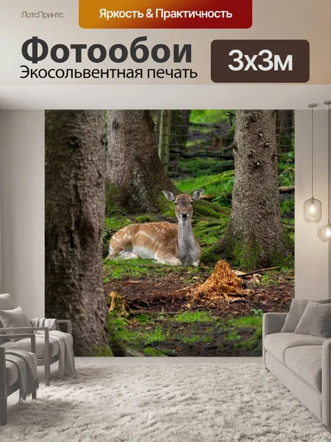 Фотообои Лань