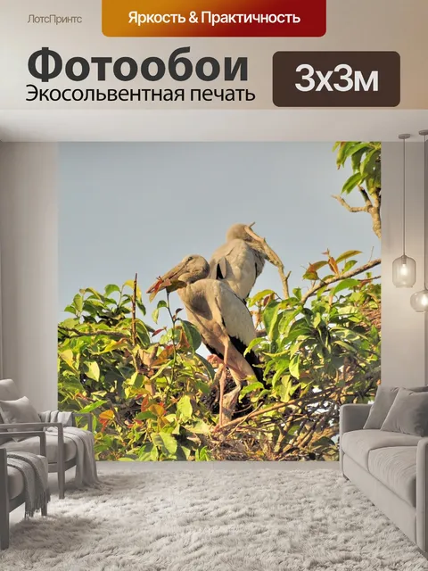Фотообои Птицы