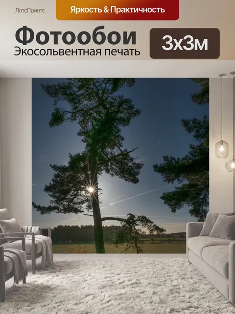 Фотообои Дерево