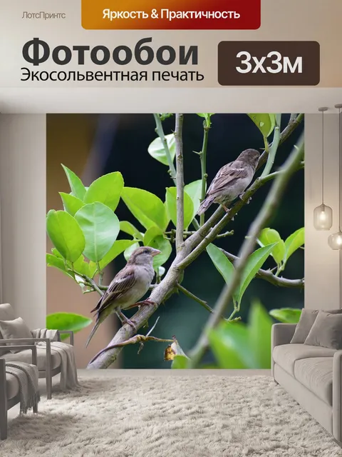 Фотообои Птицы