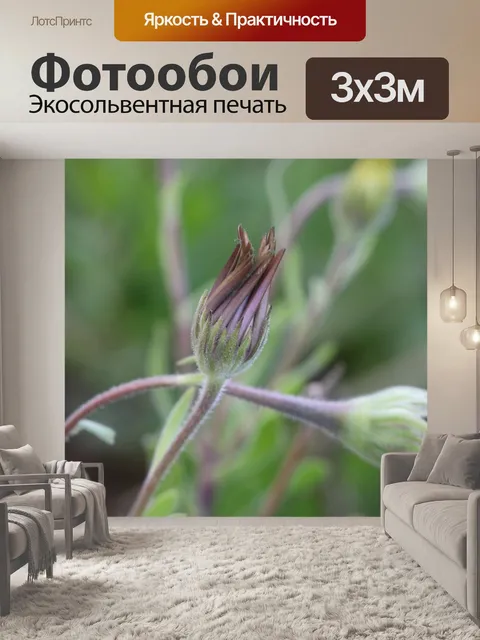 Фотообои Розовый